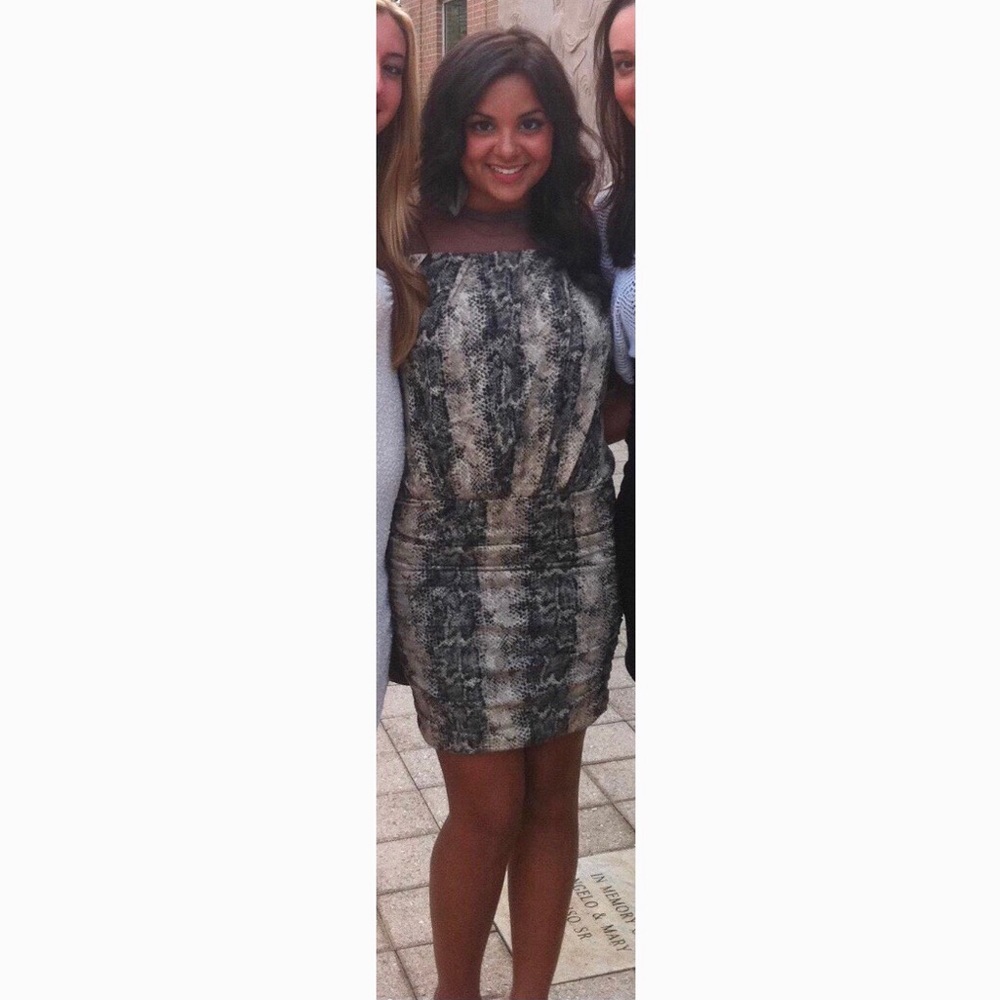 TAKING BEST OFFER ‼️ Snake Print Dress